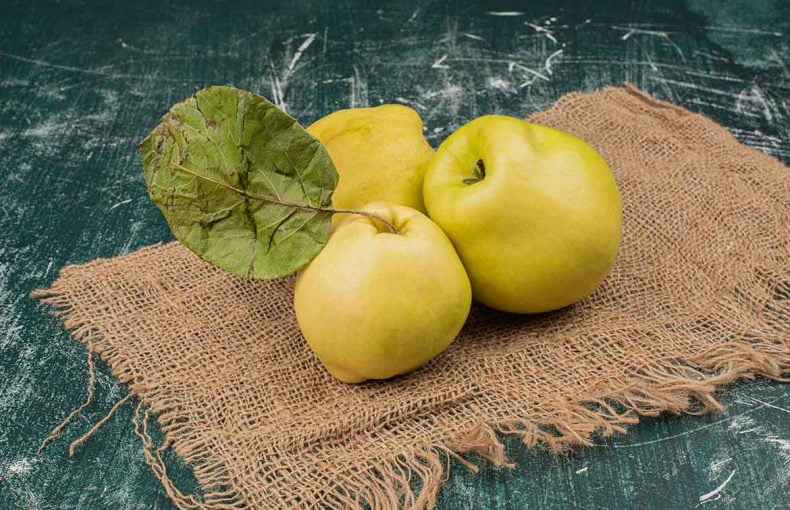 ayva marmelatı faydaları