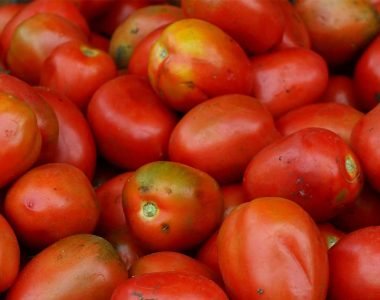 domates konservesi yapımı