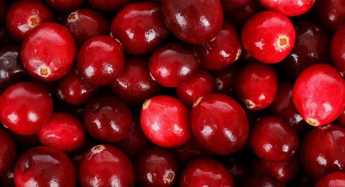 köysev kızılcık marmelatı