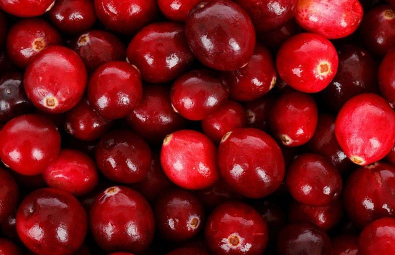 köysev kızılcık marmelatı